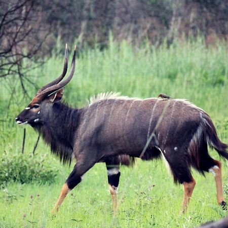 Ouklip Game Lodge Klipdrift Экстерьер фото