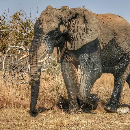 Ouklip Game Lodge Klipdrift Экстерьер фото