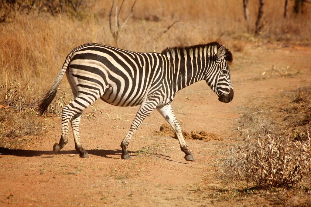 Ouklip Game Lodge Klipdrift Экстерьер фото