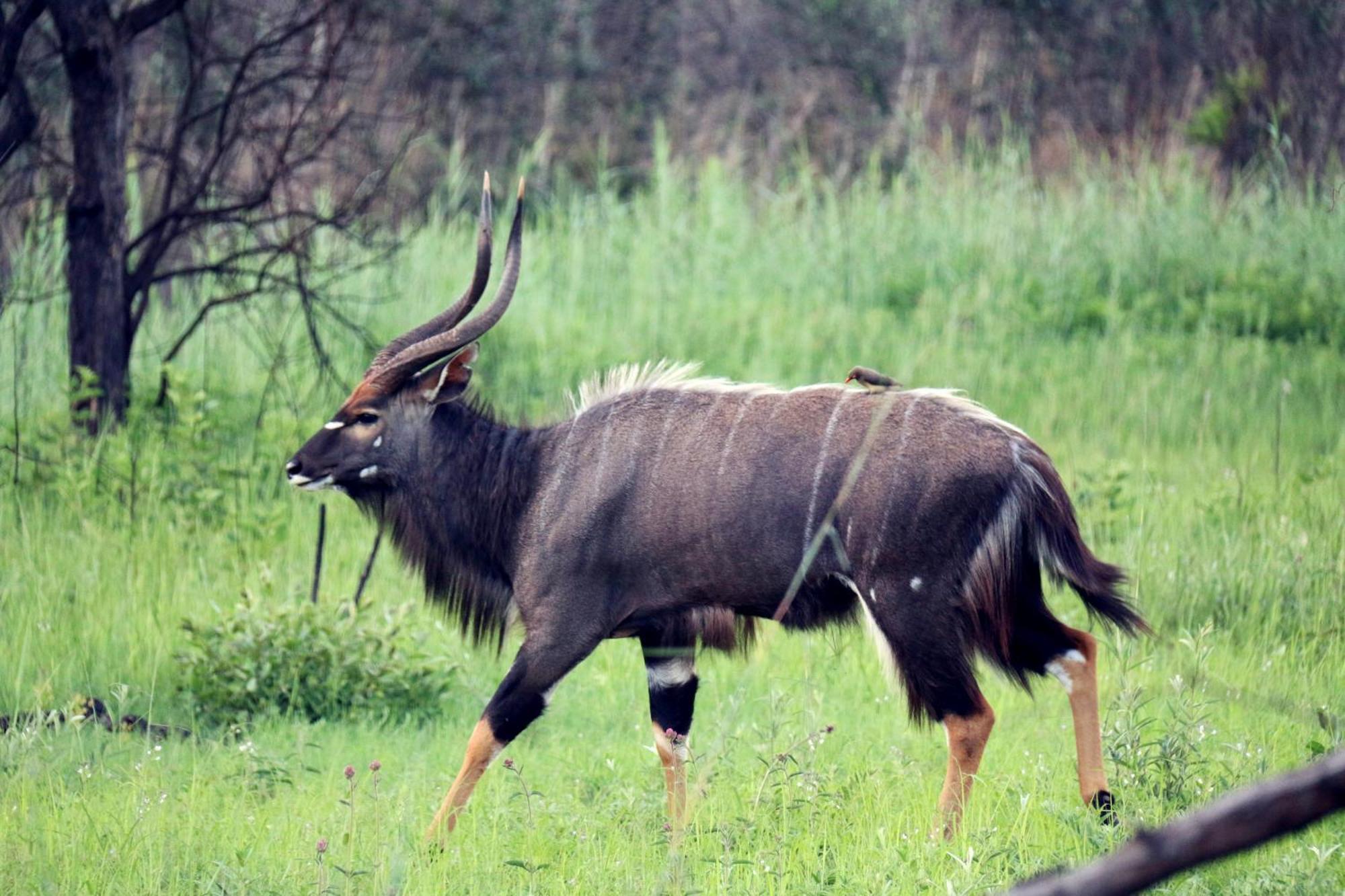 Ouklip Game Lodge Klipdrift Экстерьер фото
