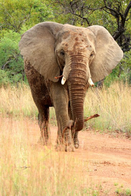 Ouklip Game Lodge Klipdrift Экстерьер фото