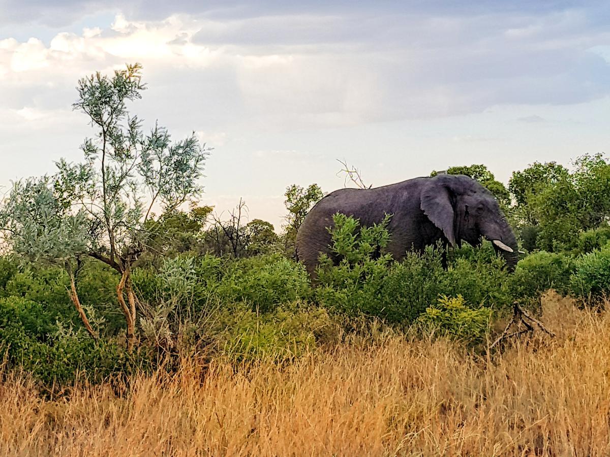Ouklip Game Lodge Klipdrift Экстерьер фото