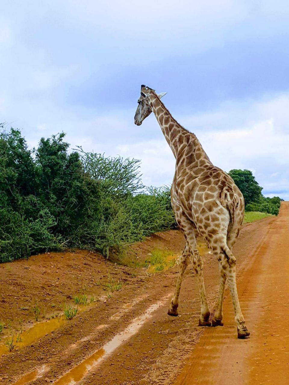 Ouklip Game Lodge Klipdrift Экстерьер фото